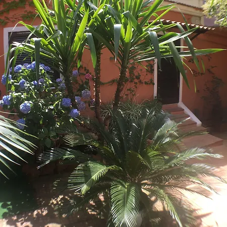 Vatican Garden House בית הארחה 4*
